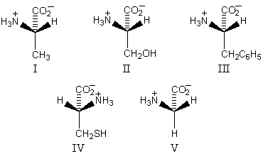 <strong>Which amino acid is unlikely to be found in a natural protein?  </strong> A) I B) II C) III D) IV E) V <div style=padding-top: 35px> 