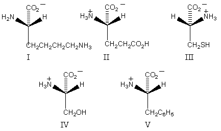 Which amino acid would have its isoelectric point near pH 10?   A)  I B)  II C)  III D)  IV E)  V