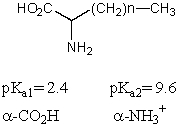 What is the pI of the following amino acid?   A)  12 B)  3.6 C)  4.8 D)  6.0 E)  7.2
