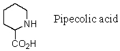 Pipecolic acid logically would be substituted for which natural amino acid in the synthesis of peptide analogs?   A)  Histidine B)  Proline C)  Tryptophan D)  Phenylalanine E)  Tyrosine
