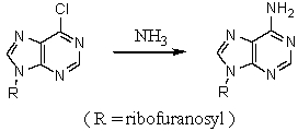 The synthesis of adenosine by the reaction shown below likely occurs by what reaction mechanism?   A)  An S<sub>N</sub>2 reaction B)  An S<sub>N</sub>Ar reaction C)  An elimination-addition reaction D)  An S<sub>N</sub>1 reaction E)  An E<sub>2</sub> reaction