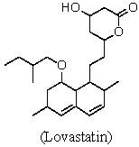 How many stereogenic centers are there in Lovastatin (Mevacor®,a cholesterol-lowering drug) ?   A) 4 B) 5 C) 6 D) 7 E) 8