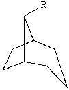 The substituent R on the bicyclic compound shown is considered to be?   A) axial B) equatorial C) endo D) exo E) trans