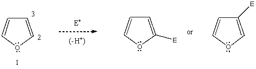 Based on your knowledge of electrophilic aromatic substitution,predict the preferential position of attack of an electrophile on furan,i.e.,does the electrophile E<sup>+</sup> attack carbon 2,or 3? Explain your answer.   Which substitution product forms preferentially and why?