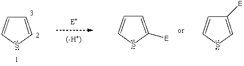 Based on your knowledge of electrophilic aromatic substitution,predict the preferential position of attack of an electrophile on thiophene,i.e.,does the electrophile E<sup>+</sup> attack carbon 2,or 3? Explain your answer.   Which substitution product forms preferentially and why?