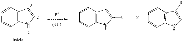 Based on your knowledge of electrophilic aromatic substitution,and assuming the pyrrole ring of indole (shown)is activated toward electrophilic aromatic substituted more so than the benzenoid ring,predict the preferential position of attack of an electrophile,i.e.,does the electrophile E<sup>+</sup> attack carbon 2,or 3? Explain your answer.   Which substitution product forms preferentially and why?