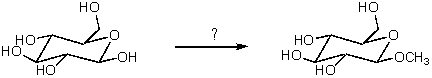 Which reagent would be used for the following transformation?   A) CH<sub>3</sub>I,KOH B)    C) CH<sub>3</sub>OH,HCl D) (CH<sub>3</sub>) <sub>2</sub>SO<sub>4</sub>,NaOH E)   