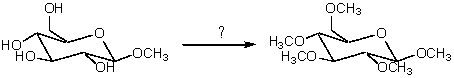 Which reagent would cause the following conversion to take place?   A) Excess CH<sub>3</sub>OH and KOH B) Excess CH<sub>3</sub>OH and HCl C) Excess (CH<sub>3</sub>) <sub>2</sub>SO<sub>4</sub> and OH<sup>-</sup> D) Excess CH<sub>3</sub>I and H<sub>3</sub>O<sup>+</sup> E) Excess (CH<sub>3</sub>CO) <sub>2</sub>O