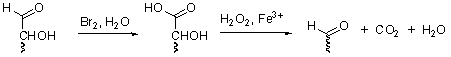 An optically active hexose (A),C<sub>6</sub>H<sub>12</sub>O<sub>6</sub>,was degraded to an optically active pentose (B),C<sub>5</sub>H<sub>10</sub>O<sub>5</sub>,by the following series of reactions:   Compound (B)was degraded to an optically active tetrose (C),C<sub>4</sub>H<sub>8</sub>O<sub>4</sub>,through the same series of reactions as shown above; then (C)was oxidized with HNO<sub>3</sub> to yield meso tartaric acid. Give possible structure for (A)and (B).