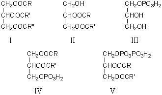 Which of the following is a phosphatidic acid?   A) I B) II C) III D) IV E) V