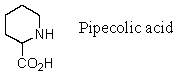 Pipecolic acid logically would be substituted for which natural amino acid in the synthesis of peptide analogs?   A) Histidine B) Proline C) Tryptophan D) Phenylalanine E) Tyrosine