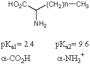 What is the pI of the following amino acid?   A) 12.0 B) 3.6 C) 4.8 D) 6.0 E) 7.2