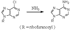 The synthesis of adenosine by the reaction shown below likely occurs by what reaction mechanism?   A) An S<sub>N</sub>2 reaction B) An S<sub>N</sub>Ar reaction C) An elimination-addition reaction D) An S<sub>N</sub>1 reaction E) An E<sub>2</sub> reaction