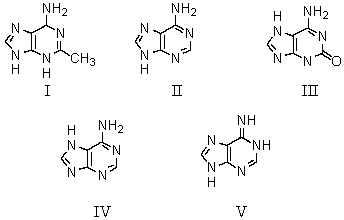 Which is the predominant tautomeric form of adenine when it is present in DNA?   A) I B) II C) III D) IV E) V