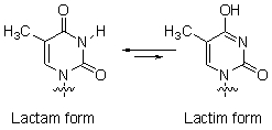 2'-Deoxythymine exists in the lactam form rather than in the tautomeric lactim form.Explain.  