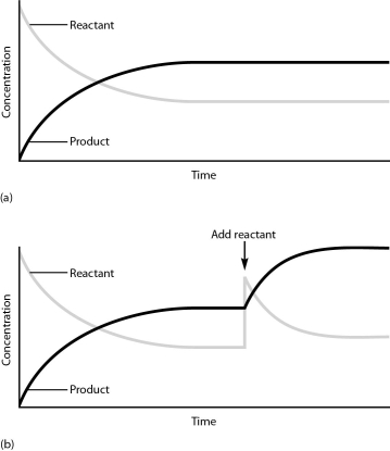   -The rates of chemical reactions are important to their biological function. Describe the factors that can affect reaction rates and how these changes are mediated. (Do not include enzymes in this discussion.)