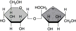   -What type of molecule is shown in Figure 2.2? A)  disaccharide B)  amino acid C)  monosaccharide D)  phospholipid E)  fatty acid