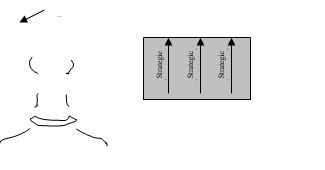 refer to the artwork below.      -In the drawing on the right, the unshaded rectangle in the middle is best described as A) a graphic representation of the pressures decision makers face. B) the zone of indifference. C) the zone of feasibility. D) type III decisions, which combine a top-down and bottom-up decisions. E) systems analysis.