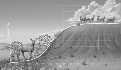 Examine the figure below and answer questions     -During thseconphas(2) , thgrowth is __________ as long as resources arplentiful. A) logical B) logistical C) arithmetic D) exponential E) analytical