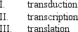 Which of the following processes is (are) part of gene expression?   A)  I and II B)  I and III C)  II and III D)  I, II, and III E)  III only