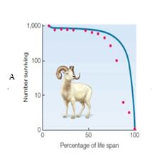 A. B. C. D. E. opportunistic life history