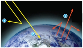In this figure,what do the yellow arrows marked #1 and #2 indicate?   A) light energy B) heat energy C) greenhouse gases D) atmospheric gases E) carbon dioxide