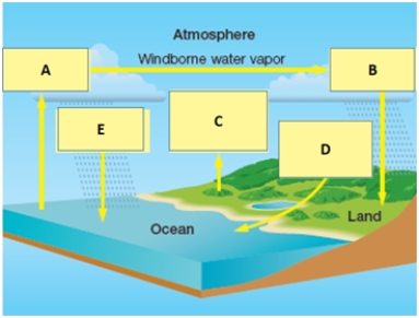 Examine the figure below of the water cycle.Match each term with the concept to which it best corresponds.   -evaporation from ocean A) A B) B C) C D) D E) E