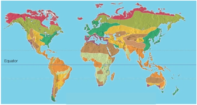 <strong>The dark pink color at the top of this picture represents the ____ biome. </strong> A)temperate deciduous forest B)chaparral C)tundra D)temperate grassland E)boreal forest