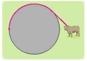 A cow is tied to a silo with radius by a rope just long enough to reach the opposite side of the silo. Find the area available for grazing by the cow. Round the answer to the nearest hundredth.