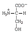 <strong>Which of the following amino acids would be classified as a polar neutral amino acid?</strong> A) B) C) D)