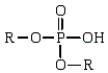 Which of the following is the general formula for a phosphate monoester? A)    B)    C)    D)   