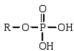 Which of the following is the general formula for a phosphate monoester? A)    B)    C)    D)   