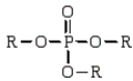Which of the following is the general formula for a phosphate monoester? A)    B)    C)    D)   