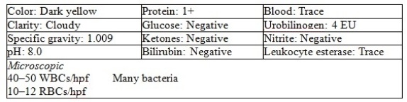 The following urinalysis results are obtained from a female vegetarian who supplements her diet with megavitamins:    -What is the probable nonpathologic cause of the elevated urobilinogen? A)  Constipation B)  Increased ascorbic acid C)  Leafy green vegetables D)  Strenuous exercise