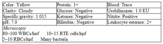 The following results are obtained on a catheterized specimen from a patient with symptoms of urinary tract infection:    -Based on the information provided,which of these results would concern a urinalysis supervisor? A)  Elevated protein B)  renal tubullar epithelial cells C)  Blood D)  Absence of WBC casts