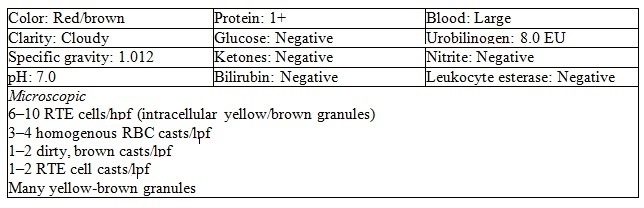 Urinalysis results on a patient being monitored following an adverse reaction occurring during surgery are:    -Based on the information provided,what substance is causing the positive reagent strip reaction for blood? A)  Hemoglobin B)  Myoglobin C)  RBCs D)  Peroxide contamination