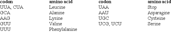 The open reading frame of a portion of mRNA.  Codons on mRNA and the amino acids they code Use the table below to answer the following questions.    -Use the table to answer the following.What is the sequence of amino acids coded for by the following sequence of bases in the non-template strand of DNA? 3´ TAACGCTTGCA 5' A) Leucine-arginine-lysine-alanine B) Asparagine-cysteine-valine-serine C) Transcription would stop at the first codon D) Asparagine-arginine-lysine-alanine E) Translation would stop at the first codon