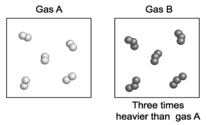 Gas A is composed of diatomic molecules (two atoms per molecule)  of a pure element. Gas B is composed of triatomic molecules (three atoms per molecule)  of another pure element. A volume of gas B is found to be three times more massive than an equal volume of gas A. How does the mass of an atom of gas B compare with the mass of an atom of gas A?   A)  An atom of gas B is six times the mass of an atom of gas A. B)  An atom of gas B is three times the mass of an atom of gas A. C)  An atom of gas B is two times the mass of an an atom of gas A. D)  An atom of gas B is equivalent to the mass of an atom of gas A.