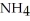 What atom in the ammonium ion,   <sub>⁺</sub> bears the positive charge? A)  the nitrogen atom B)  the hydrogen atom C)  Neither atom bears a positive charge. D)  Nitrogen and hydrogen equally share the positive charge.
