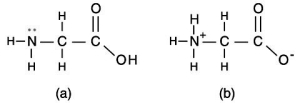 An amino acid is an organic molecule that contains both an amine group and a carboxyl group. At neutral pH, which structure is most likely:   A)  structure (a)  B)  structure (b)  C)  neither structure D)  both structures