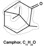 Camphor is a 10-carbon odoriferous natural product made from the joining of two isoprene units plus the addition of a ketone. Shown below on the left is its chemical structure. On the right is shown the camphor structure with two particular chemical  units  circled. What is/are the name(s)  of these two units?     A)  Both chemical units are isoprene. B)  Both chemical units are styrene. C)  Both chemical units are isopropene. D)  The upper chemical unit is isopropene and the lower unit is styrene.