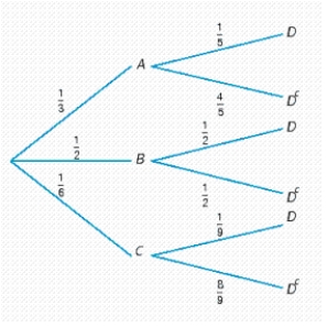 The accompanying tree diagram represents a two-stage experiment. Use the diagram to find   .   A)    B)    C)    D)   