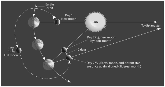 Use Figure 21.26 below to help explain the difference between the sidereal and synodic month.  