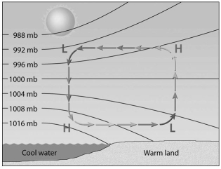 What type of local wind pattern is illustrated in the diagram below?  