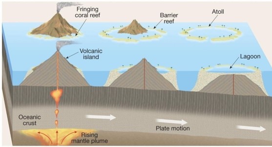 Examine Figure 13.B from Earth Science,14e below.Briefly explain the main points of Charles Darwin's hypothesis on coral atoll formation.Have we tested his hypothesis and is it still thought to be correct today? Can you think of another possible explanation that would explain the origin of such coral atolls?  