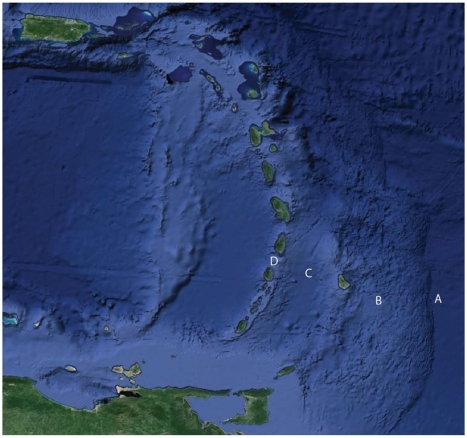 Use this figure for the following questions:   The figure above shows a popular area for North American tourists in winter,the Caribbean region.Match the term to the letter on the Figure. -Trench