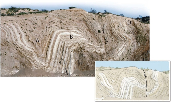 In the figure below,which occurred first,the folding or the faulting? Briefly explain your answer.  