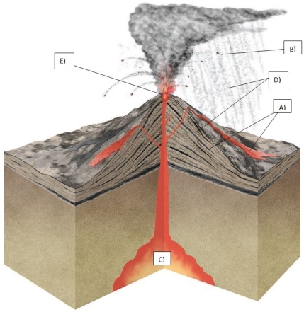 Match the letter on the figure with the term.   -Magma chamber