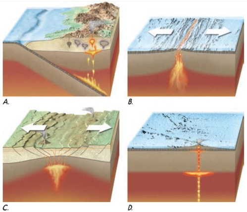 Match the name of the tectonic feature with the Figure.   -oceanic spreading center