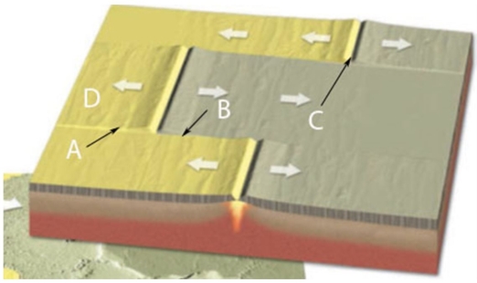 Identify the letter in the figure below that corresponds to a fracture zone:  
